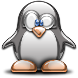 penguin pingouin pinguino 675